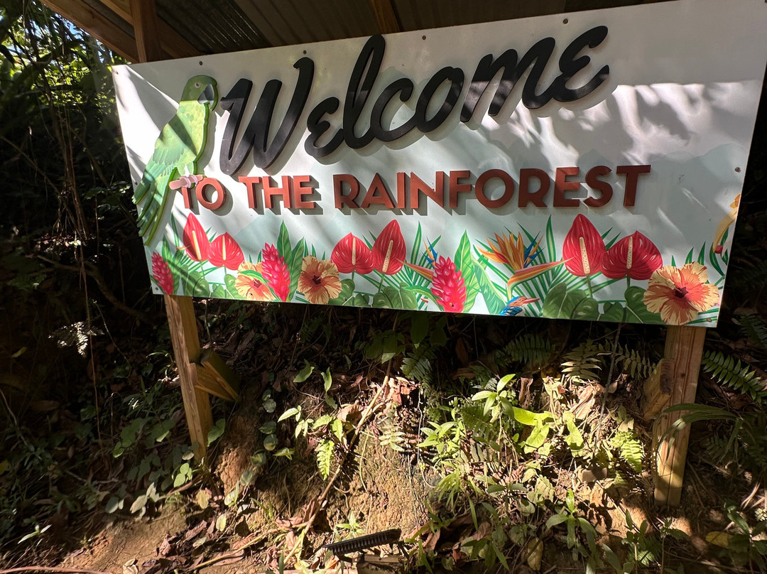 Carabali Rainforest Park-Luquillo必去景点