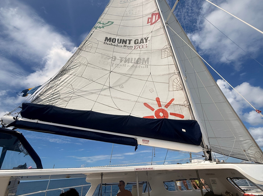 Cool Runnings Catamaran Cruises-布里奇顿必去景点