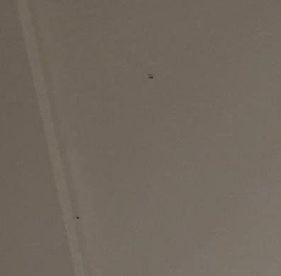 曼谷嘉佩乐酒店-旅行者