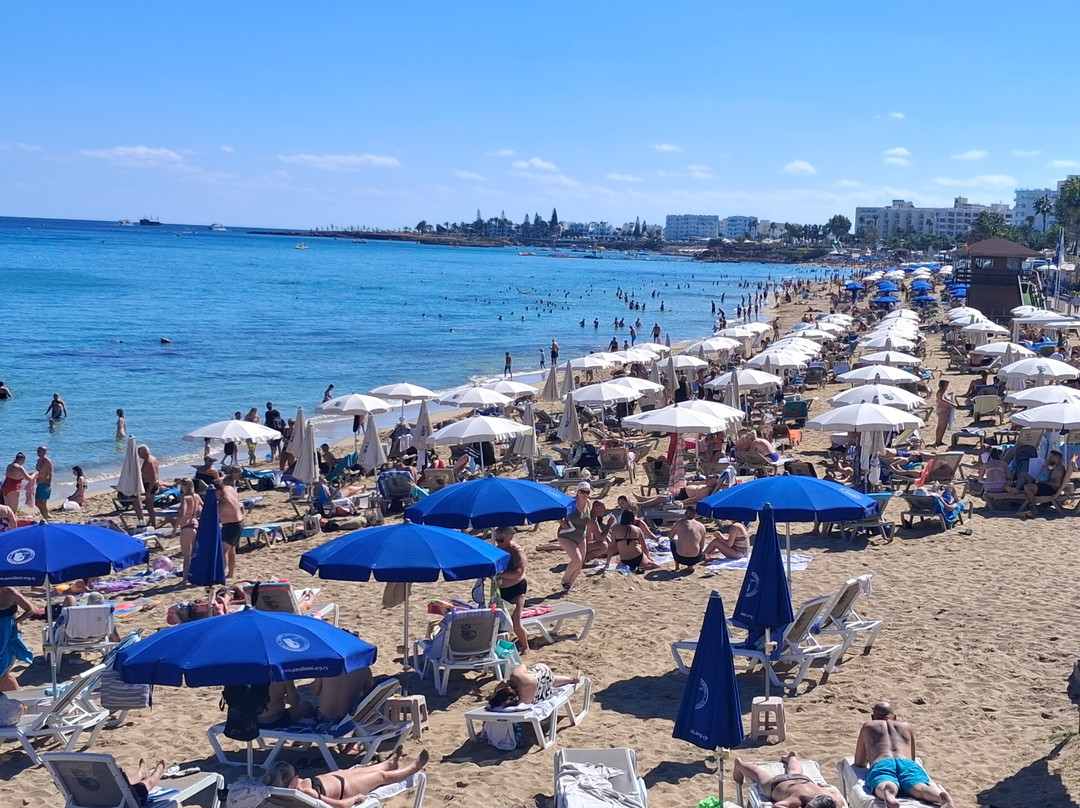 Fig Tree Bay Beach-普它肋斯必去景点