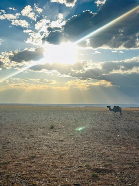 Sunpath Mongolia-乌兰巴托必去景点