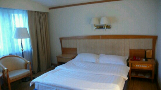 新世纪大酒店-客卧