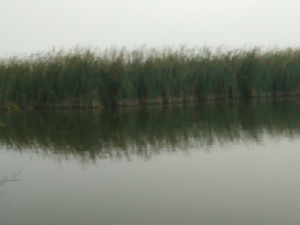 衡水湖景点图片