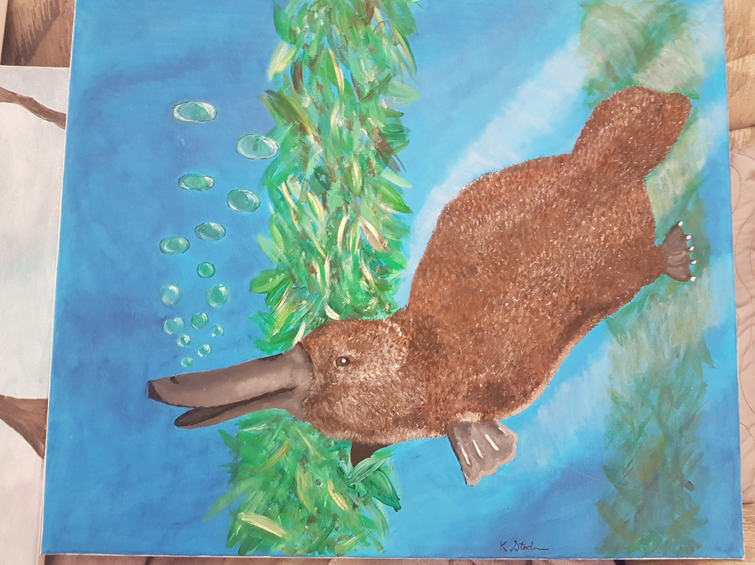 Barooga酒店住宿-Barooga Country Inn Motel