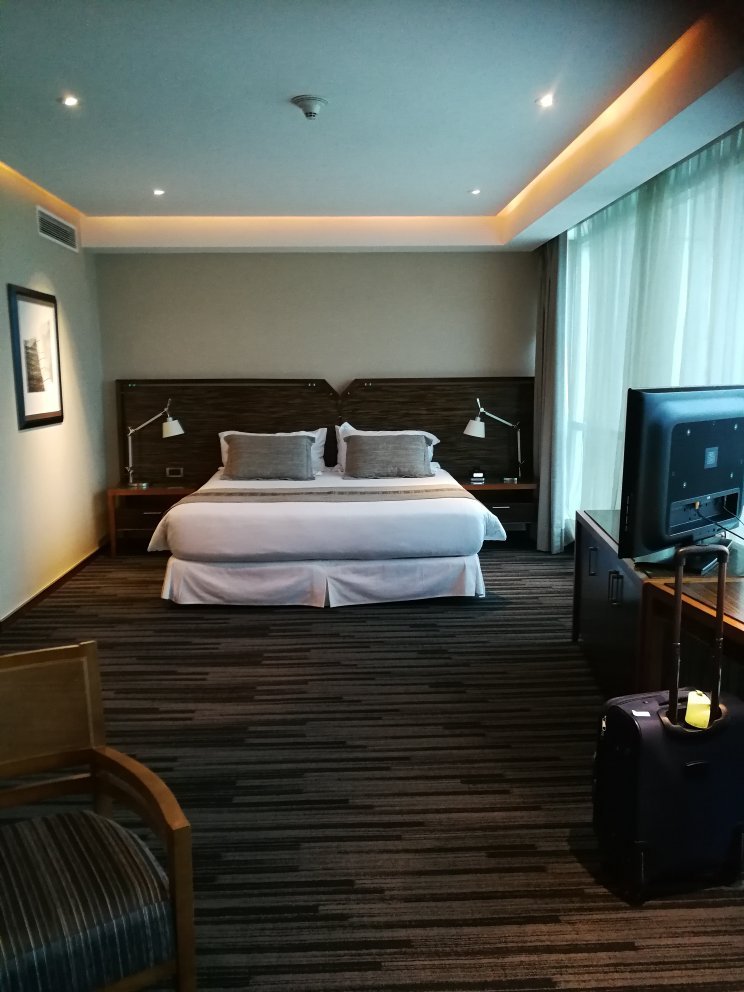 Hotel Dreams Valdivia-官方