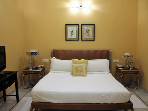 Bari酒店住宿-Raj Niwas Palace