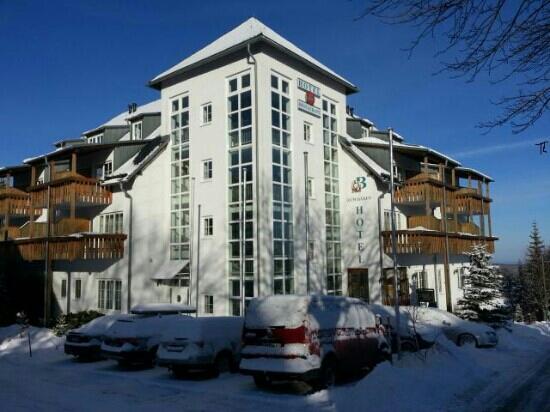 Hotel Zum Baren-客卧