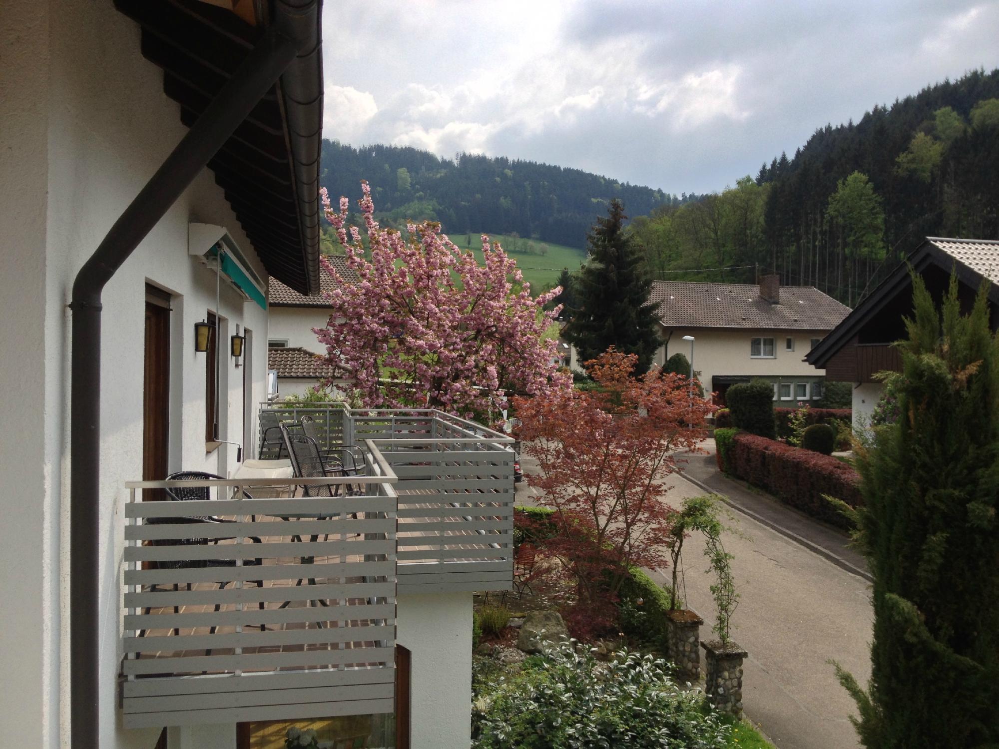 Landpension Haus Ruth-酒店景观