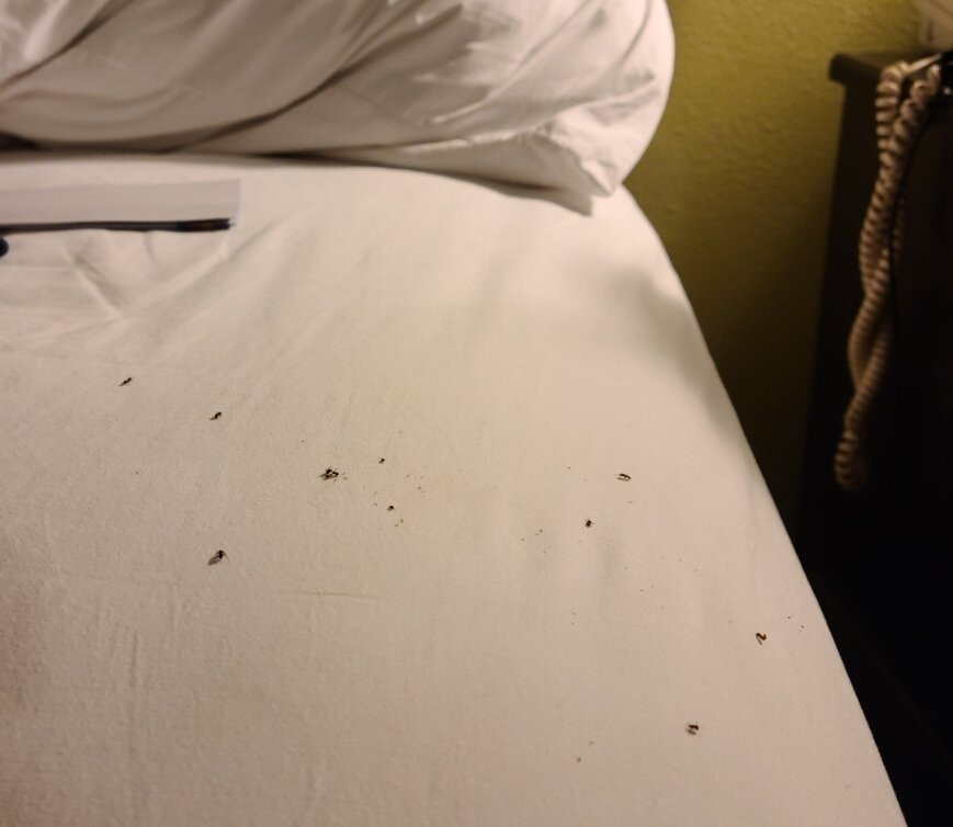 Baymont by Wyndham Farmington主图