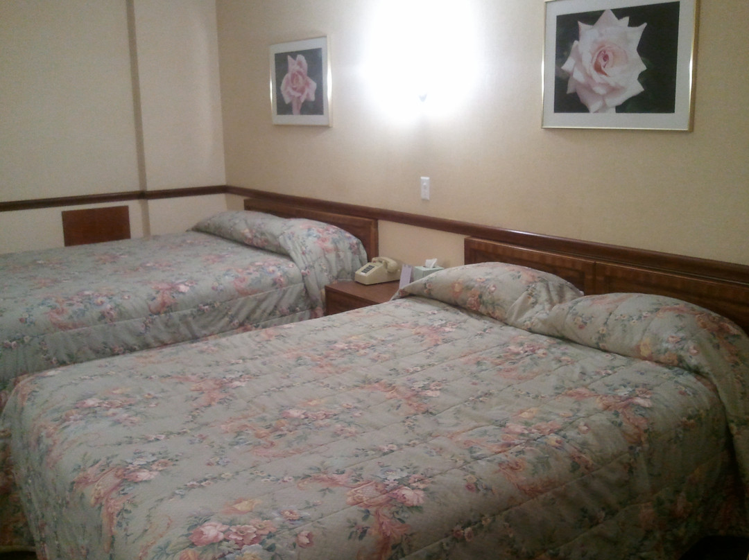 The Roscoe Boutique Motel主图