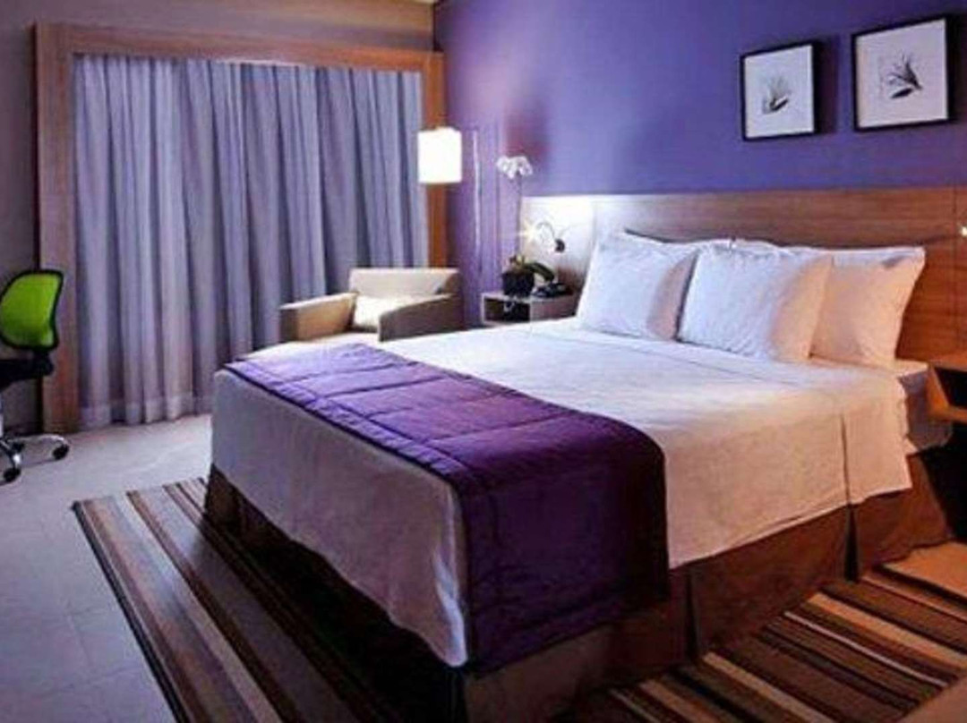 Comfort Hotel Sertaozinho主图