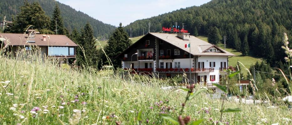 Castione della Presolana酒店住宿-Hotel Des Alpes