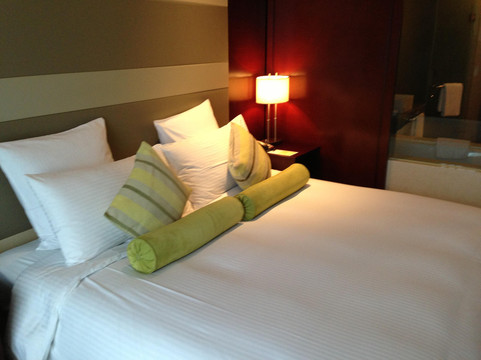 上海南桥绿地铂骊酒店主图