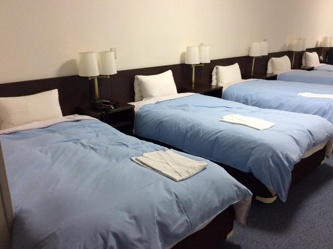 萩市酒店住宿-Hagi Royal Intelligent Hotel