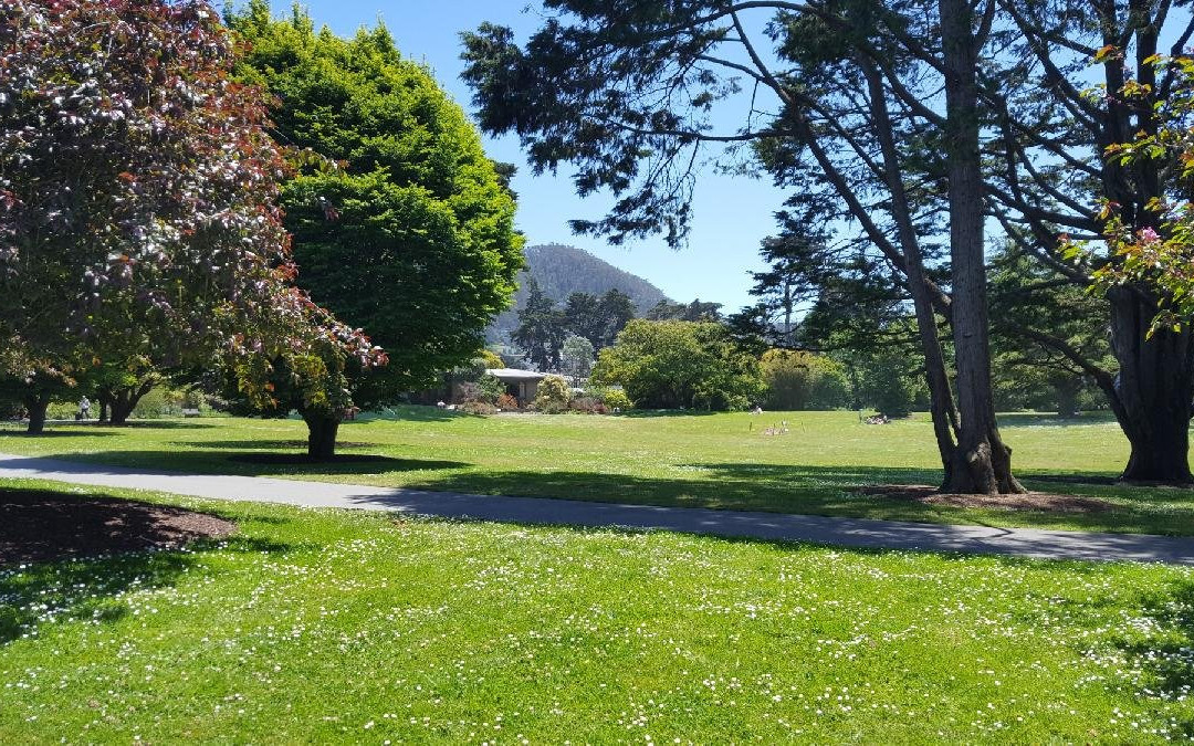 斯翠宾植物园旧金山植物园景点图片
