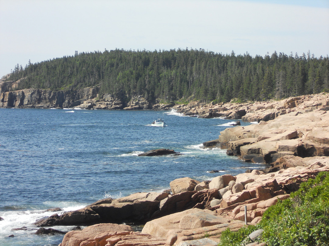 Hulls Cove Visitor Center景点图片