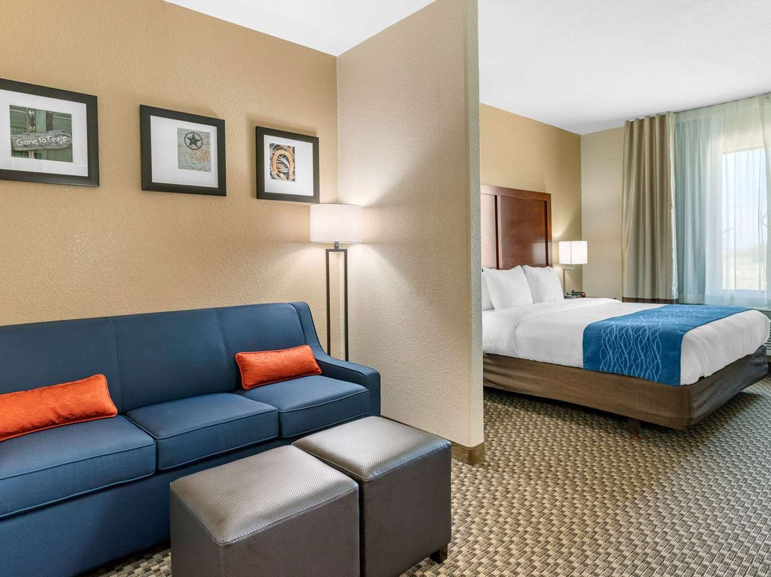 Comfort Inn & Suites Navasota主图