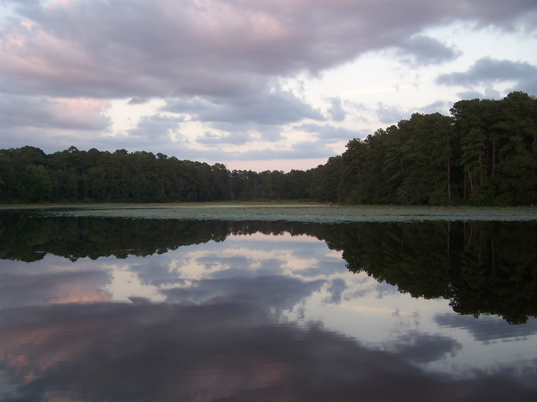 Huntsville State Park景点图片