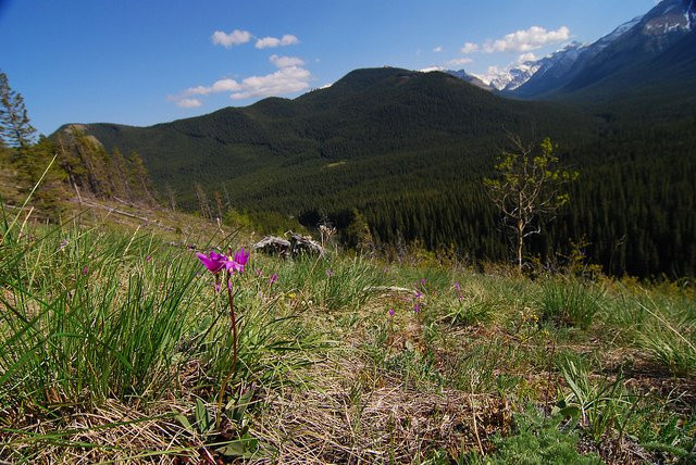 Bluerock Wildland Provincial Park景点图片