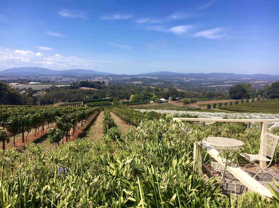 Elmswood Estate Winery-Seville必去景点