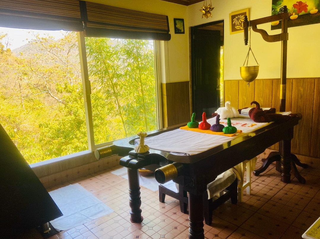 Veda5 Wellness Retreat & Spa主图