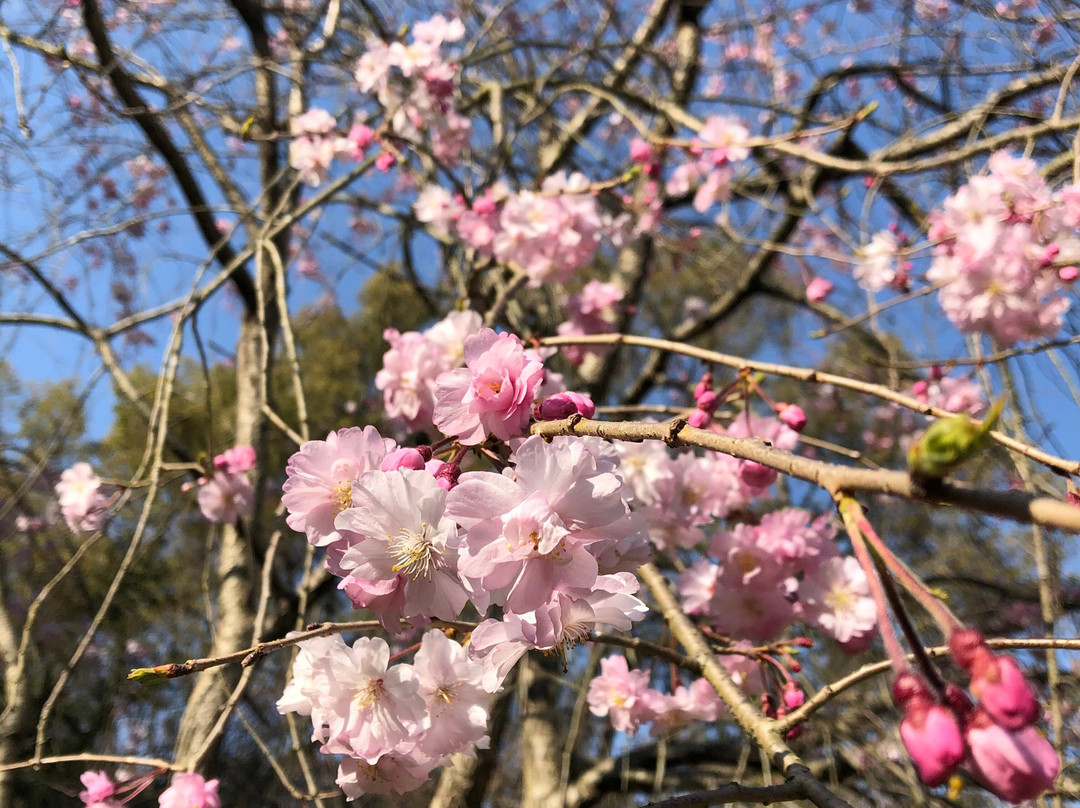 Takinomiya Park