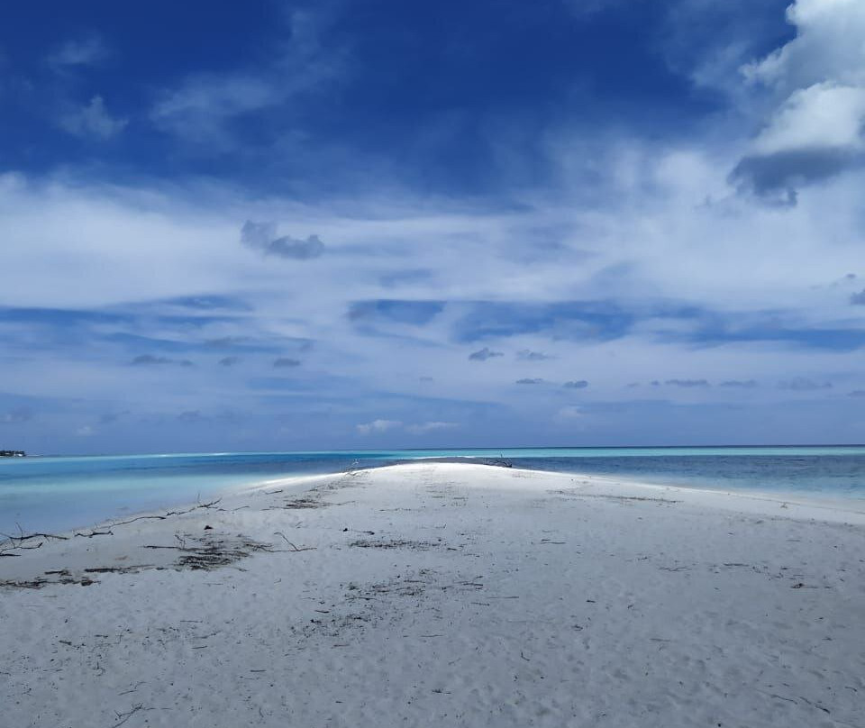 Holiday Garden Rasdhoo主图