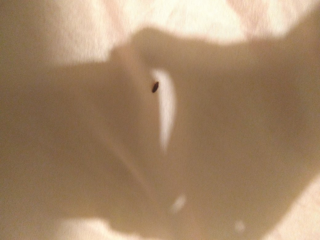 Pension Santa Rosa主图