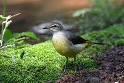 Garva Agro Tourism主图