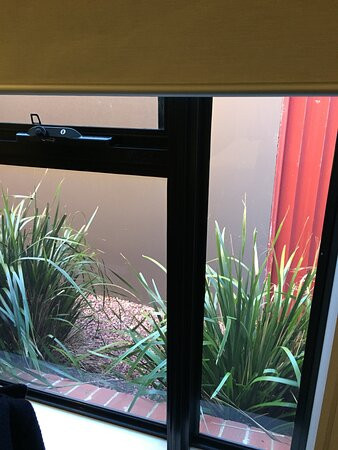 最佳西方巴拉瑞特套房主图