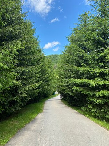 Orlat Monastery-Orlat必去景点
