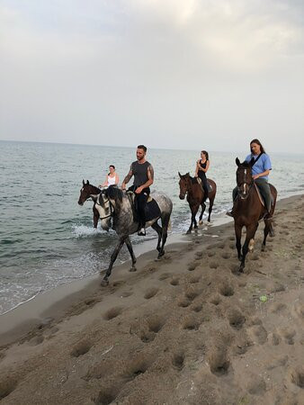 Sicily Horse Riding景点图片