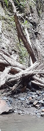 Las Cascadas de Chupal-La Vega必去景点