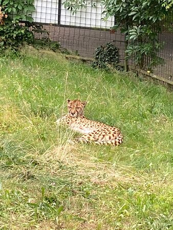 Zoo Olomouc-奥洛穆克必去景点