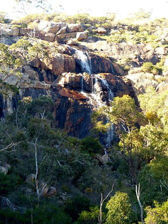 Ellis Brook Valley Reserve景点图片