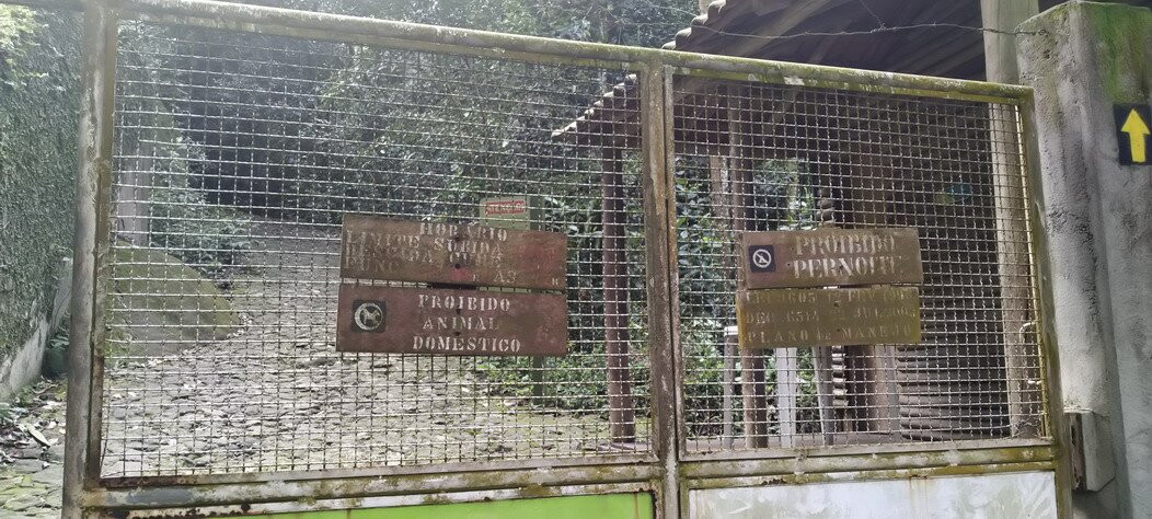 Trilha da Pedra da Gavea-里约热内卢必去景点