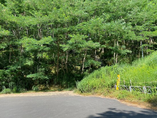Nishizakiyama Stone Circle-余市町必去景点