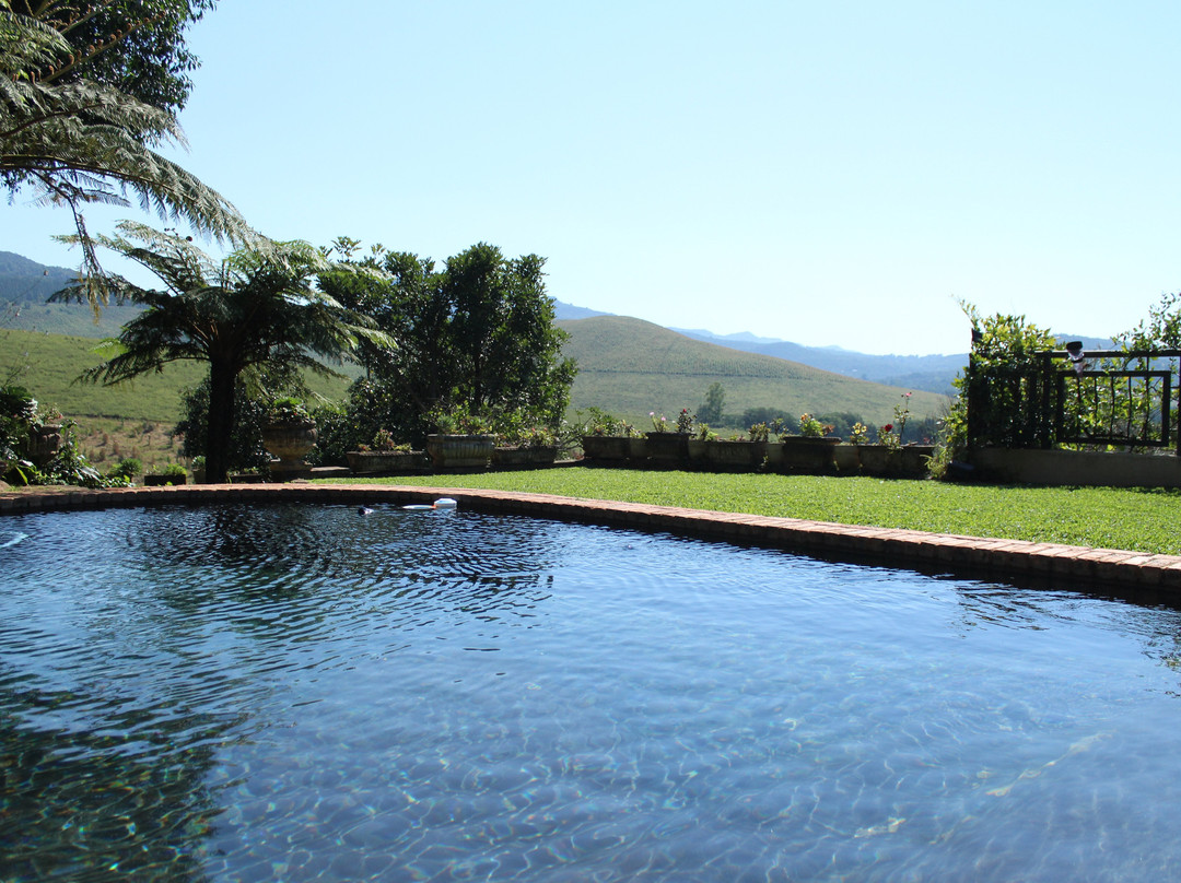 Mountain Rose Guesthouse