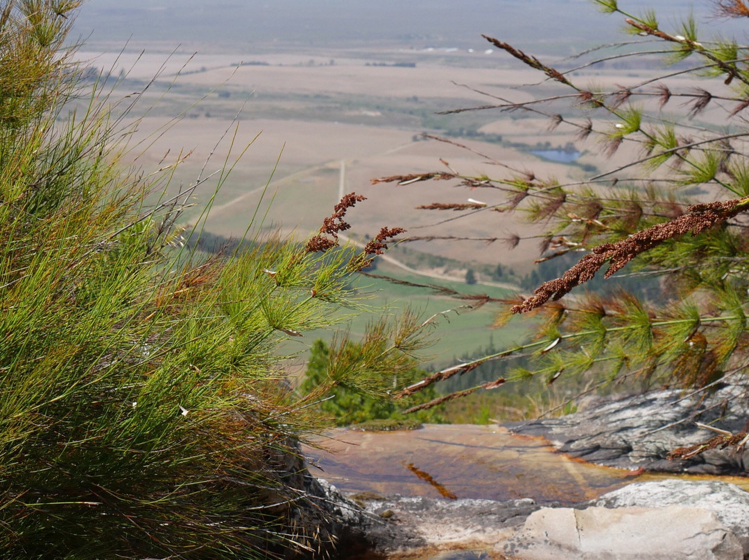 Bergview Guesthouse Swellendam主图