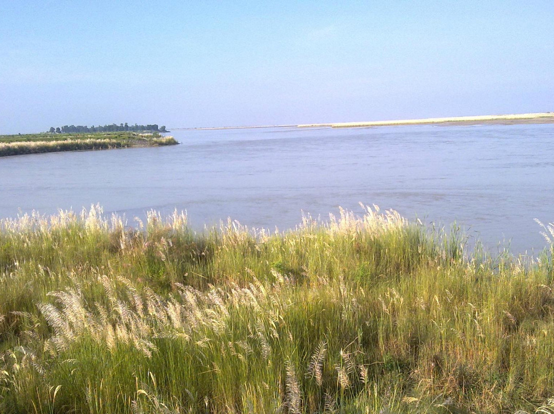 Dharan旅游景点-Koshi Tappu Wildlife Reserve