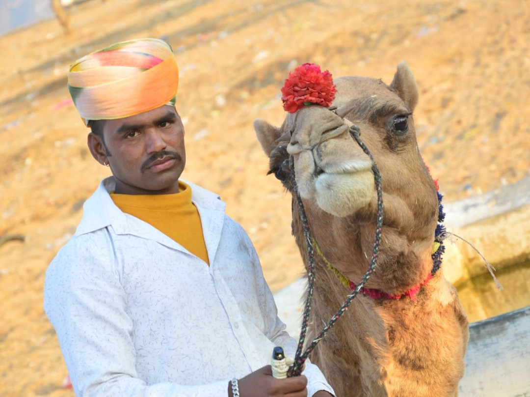Panwar Camel & Jeep Safari景点图片