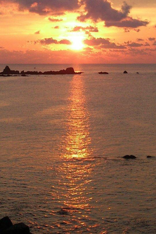 Cape Inomisaki Coast-黑潮町必去景点