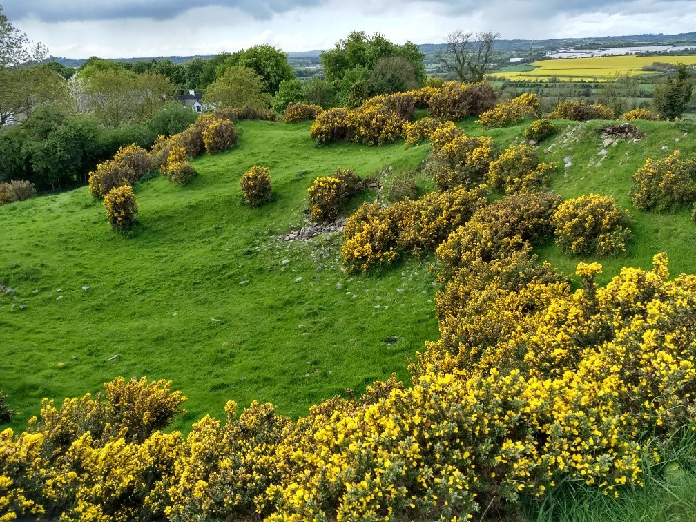Dowth Passage Tomb-Donore必去景点
