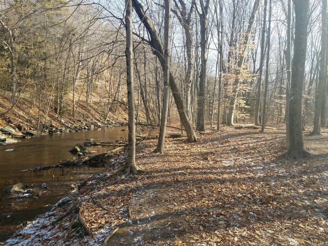 Glastonbury旅游攻略图片