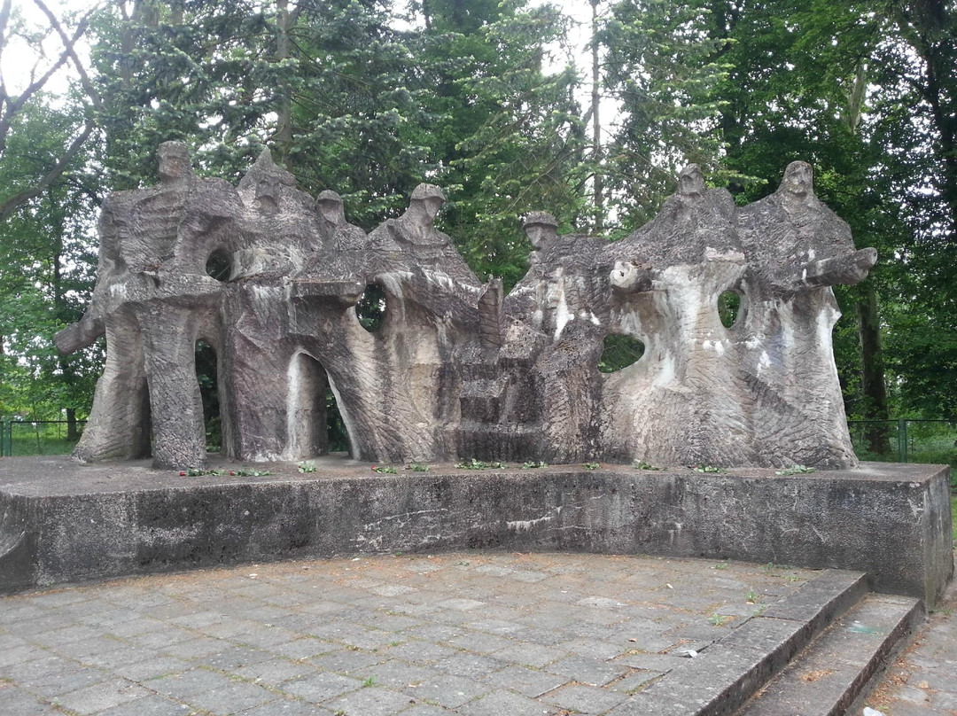 Cmentarz Wojenny Zolnierzy Radzieckich, Chojna景点图片
