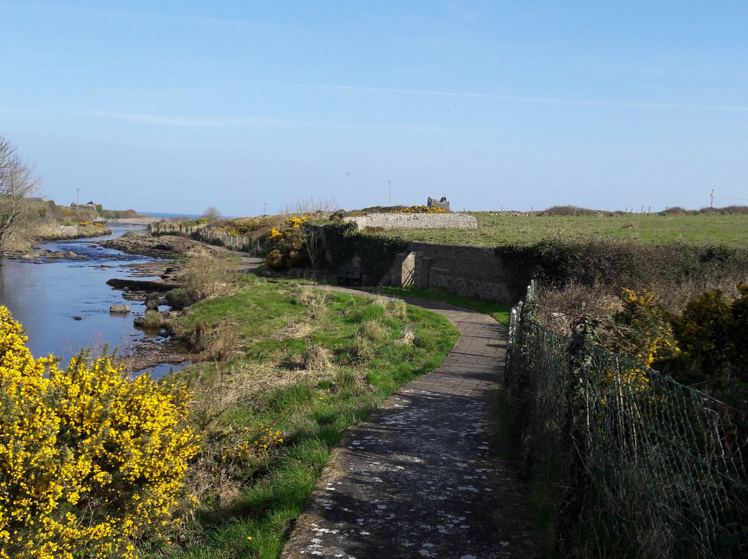 Easkey River Walk景点图片