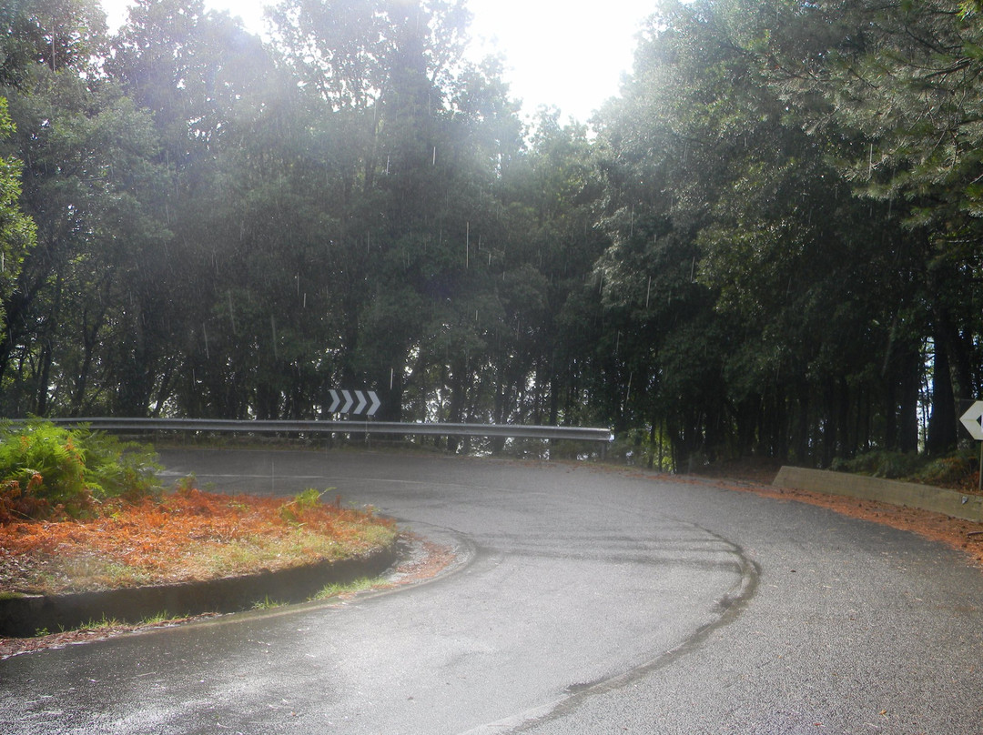 Canolo旅游攻略图片