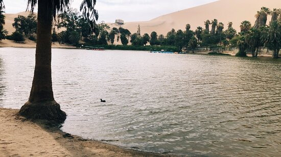 Huacachina Tour Packages景点图片