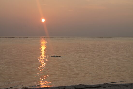 Thoddoo Sun Sky Inn-泳池