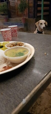 Tropical Cabanas主图